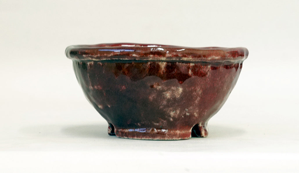 盆栽鉢ストアゆきもの｜盆栽鉢｜てるみ｜赤色の丸鉢