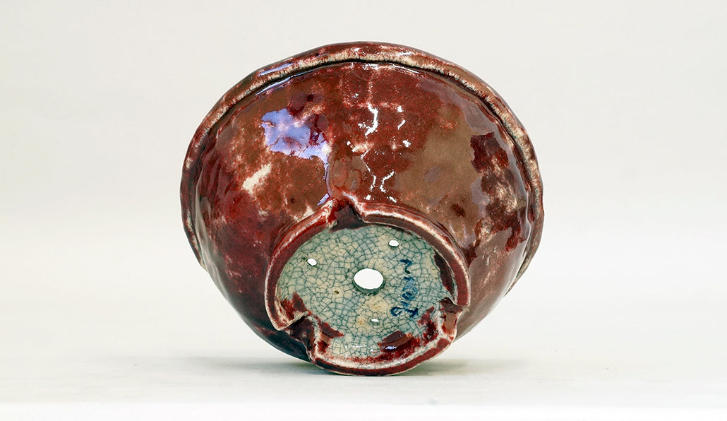 盆栽鉢ストアゆきもの｜盆栽鉢｜てるみ｜赤色の丸鉢