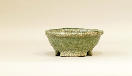 草色の丸鉢 てるみ 12cm T034