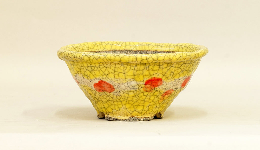 目玉焼き模様の丸鉢 てるみ 15cm T044