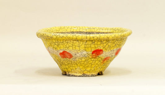 目玉焼き模様の丸鉢 てるみ 15cm T044