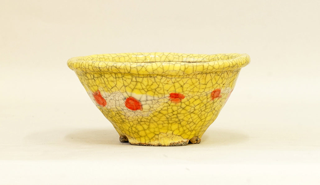 目玉焼き模様の丸鉢 てるみ 15cm T044