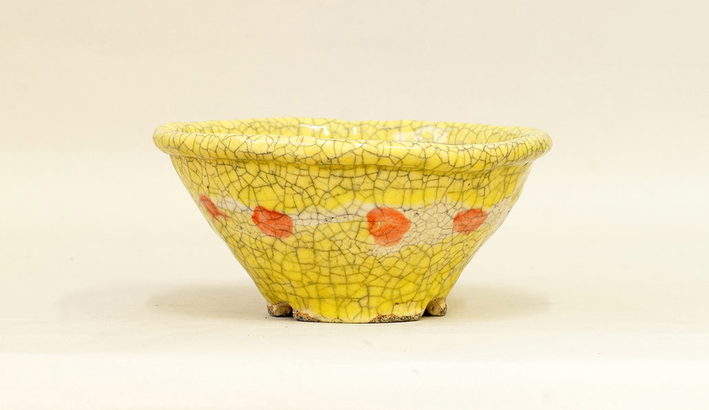 目玉焼き模様の丸鉢 てるみ 15cm T044