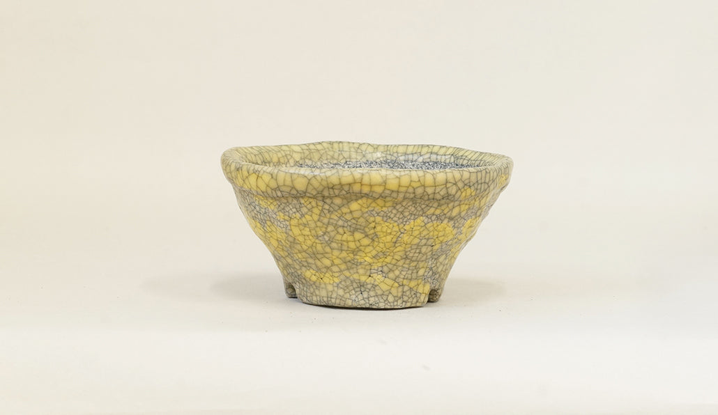 レモンイエローの丸鉢 てるみ 12.5cm T074