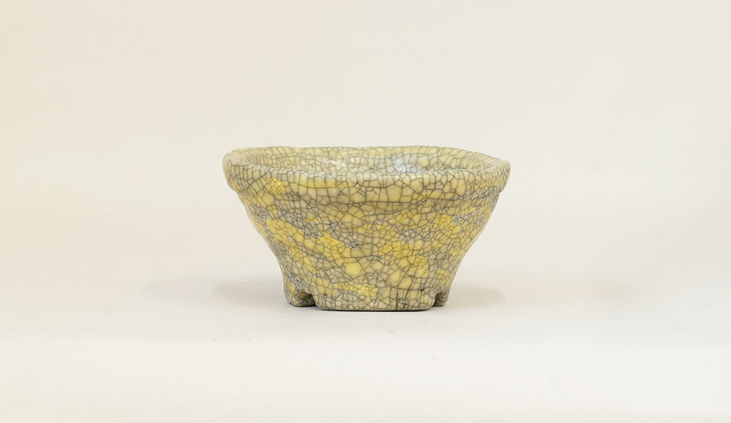 レモンイエローの丸鉢 てるみ 12.5cm T074