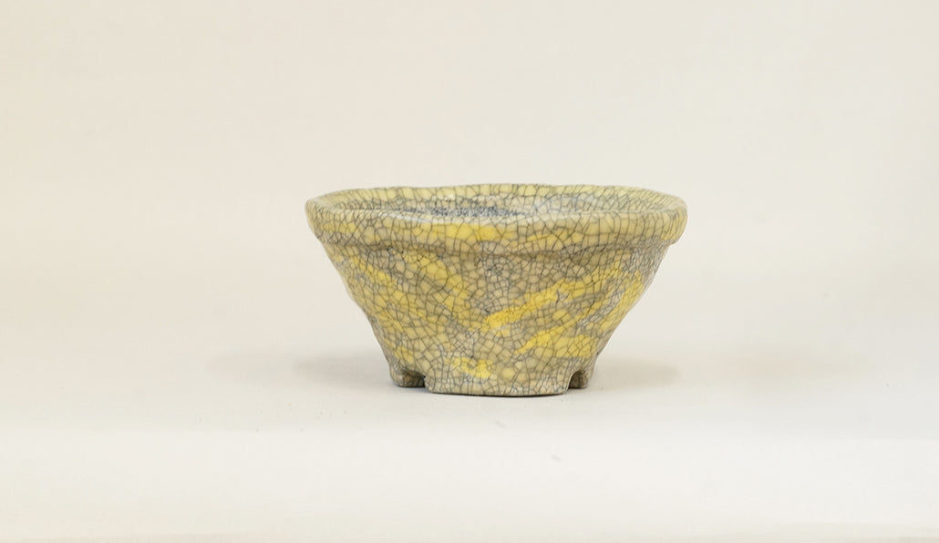 レモンイエローの丸鉢 てるみ 12.5cm T074