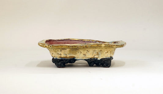 ベージュのフチ付き長方鉢 ホルビラ 16.5cm TH008