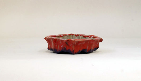 ギザギザ縁つき赤紫の鉢 ホルビラ 12cm TH009