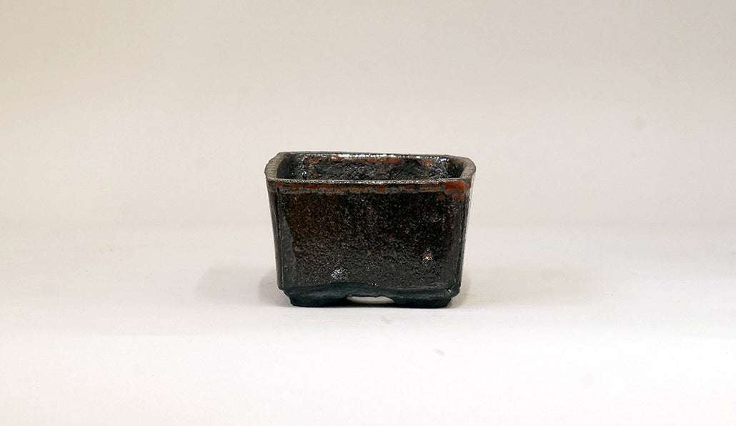 墨色の長方鉢 ホルビラ 12.7cm TH010