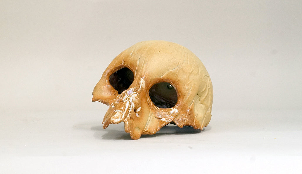 盆栽鉢ストアゆきもの｜おすすめ商品