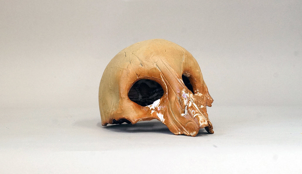 スウェーデンの髑髏鉢 丸輪スタンド付 ホルビラ TH015