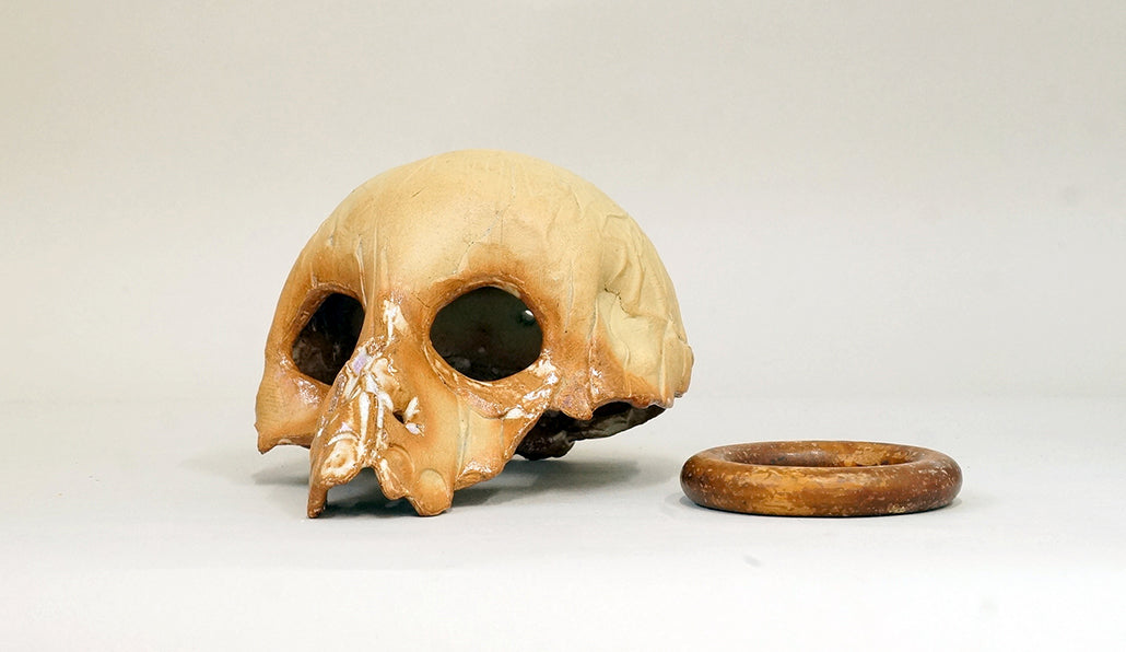 スウェーデンの髑髏鉢 丸輪スタンド付 ホルビラ TH015