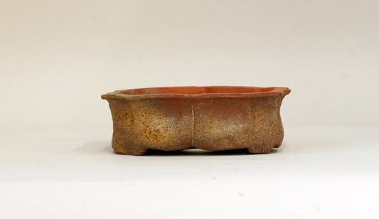 12角の焼締め鉢 ホルビラ 14cm TH020