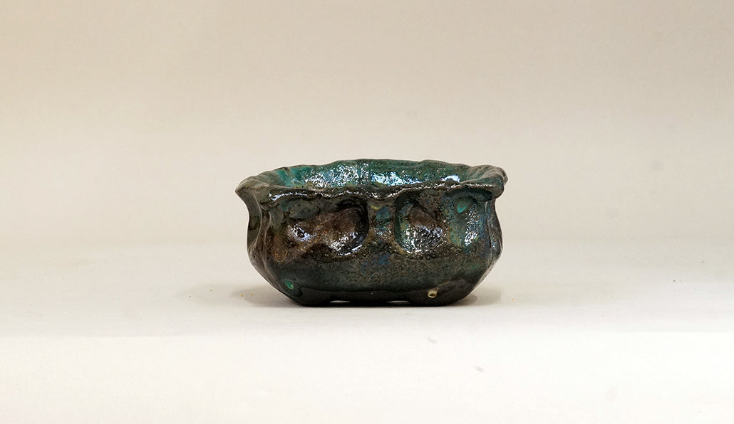 盆栽鉢ストアゆきもの