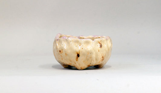 マフィンみたいな丸鉢 ホルビラ 10cm TH026