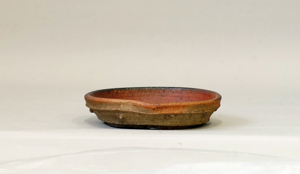 鋲打ち浅丸鉢  陶滋 13.3cm J025