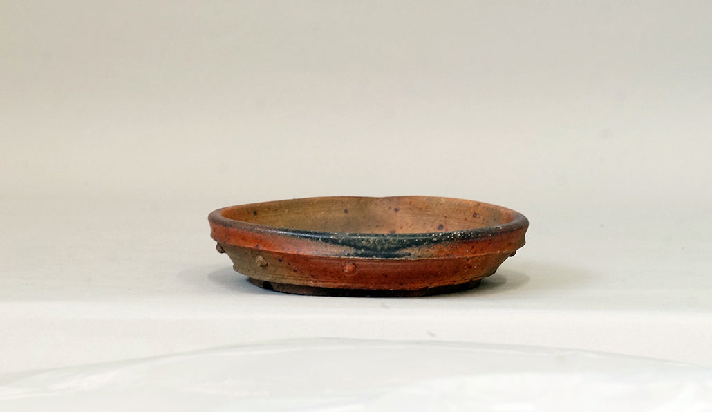 盆栽鉢ストアゆきもの｜盆栽鉢｜陶滋｜鋲打ち浅丸鉢