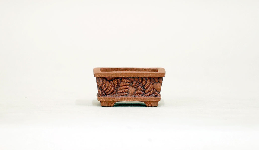 ねじれた縄目の長方鉢 コブ 3.3cm KB027