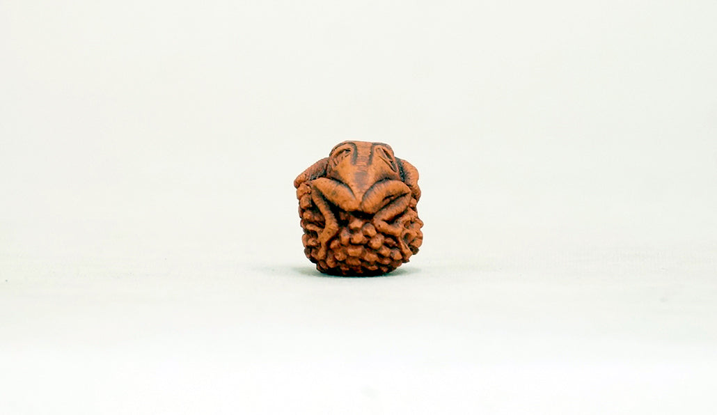 卵を抱く蛙 コブ 2cm KB029