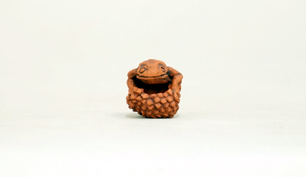 卵を抱く蛙 コブ 2cm KB029