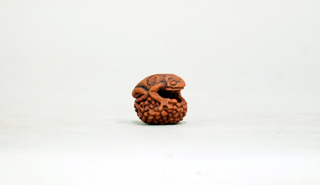 卵を抱く蛙 コブ 2cm KB029