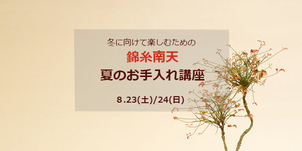 一友　盆栽鉢　植木鉢 盆栽鉢「一友」 7号（幅 21 5cm）1個｜Yahoo!フリマ（旧PayPay