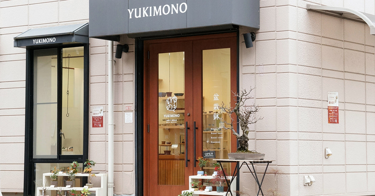 盆栽鉢ストアゆきもの