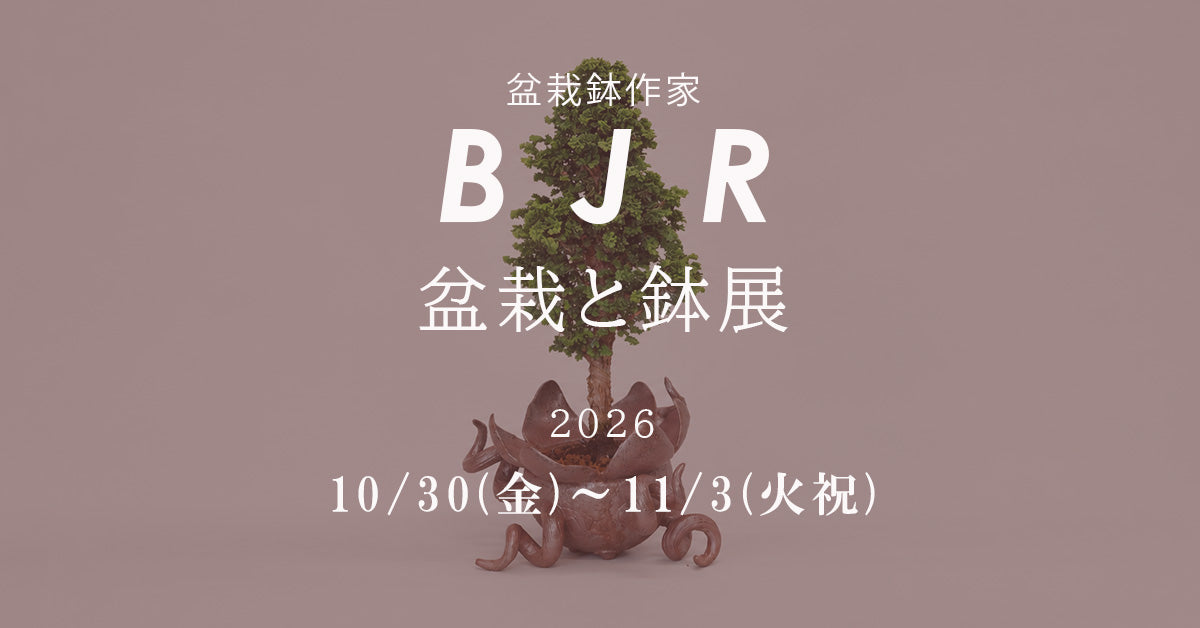 盆栽鉢ストアゆきもの