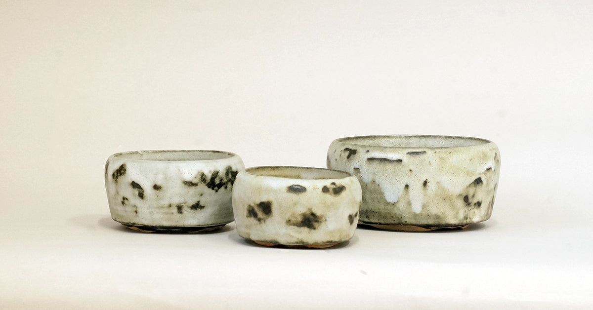 盆栽鉢ストアゆきもの